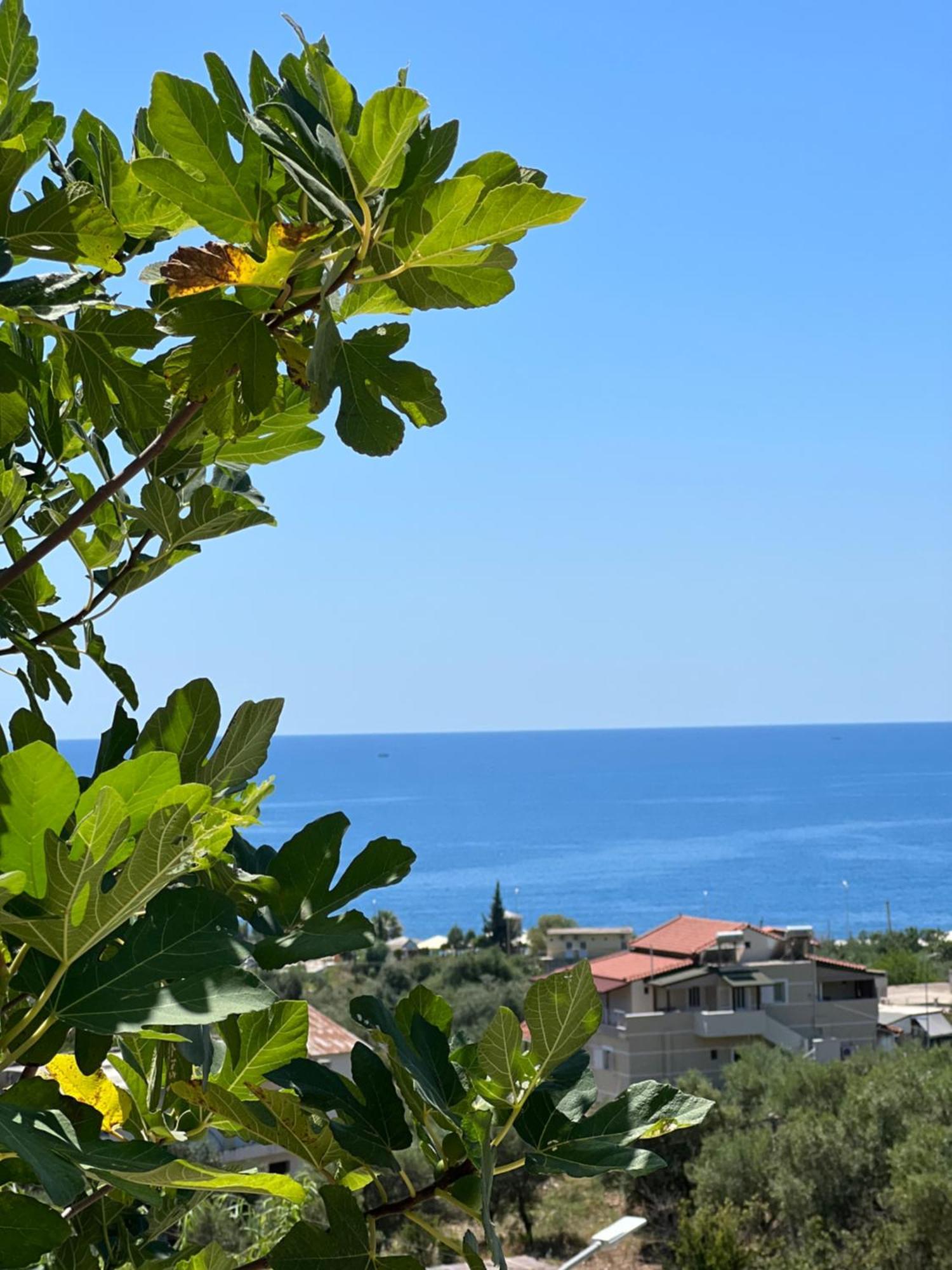 Kalesma Himare Διαμέρισμα Εξωτερικό φωτογραφία